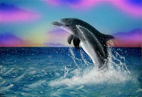 Where did the baby dolphins from hurricane katrina come from? Dolphins Jumping | pictures of baby exotic animals ...