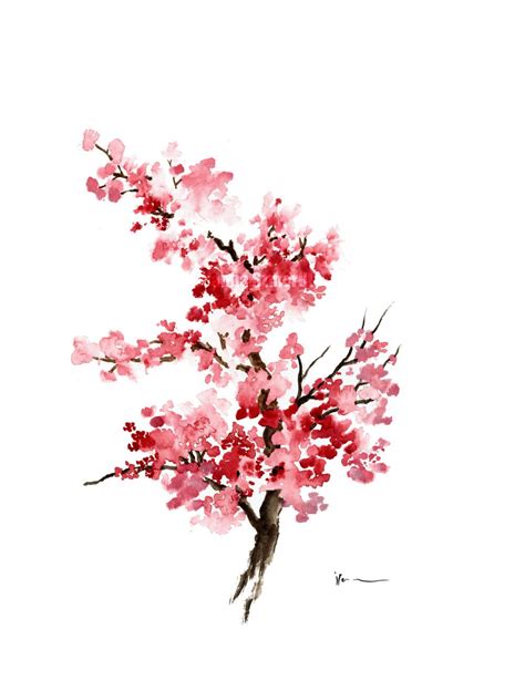 Easy Cherry Blossom Tree Watercolor Painting Cherry Blossom Tree