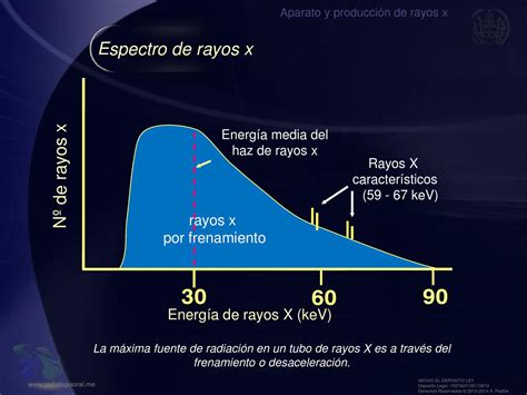 Diagrama De Rayos X