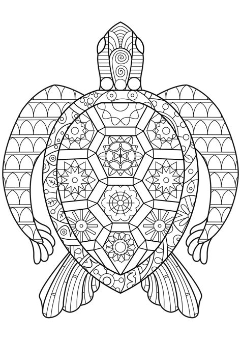 pin  mia bennett  printables turtle coloring pages turtle coloring page animal coloring