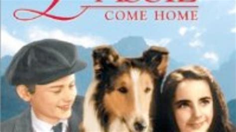 Whatever Happened To Lassie And 8 Other Showbiz Dogs Mental Floss