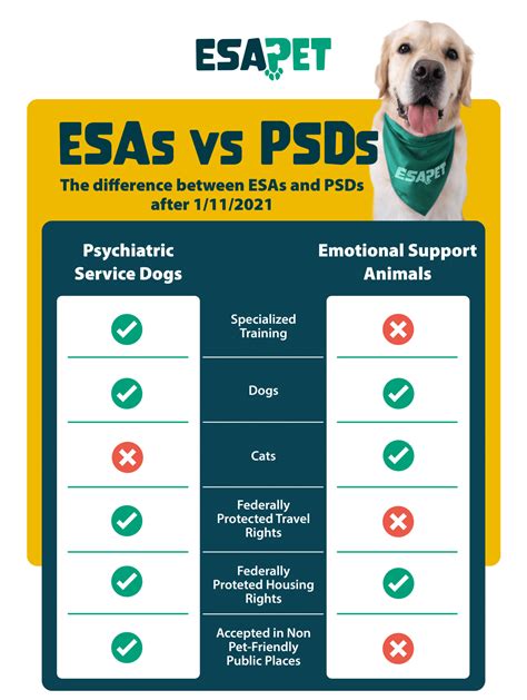 What Is A Psychiatric Service Dog Letter Esa Pet