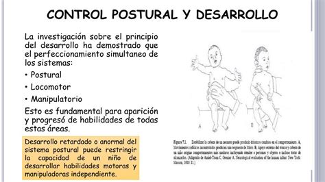 Ppt Desarrollo Del Control Postural Normal Powerpoint Presentation
