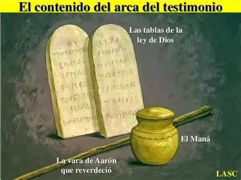 Que Contenia El Arca Del Pacto Segun La Biblia