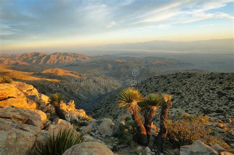 Seleziona un'opzione qui sotto per avere indicazioni dettagliate e confrontare i prezzi del biglietto e i tempi di viaggio nel pianificatore di viaggio di rome2rio. Vista Del Deserto Del Mojave Da Ryan Mountain Immagine ...
