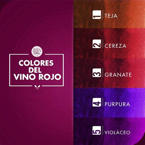 15 Infografías Para Aprender Sobre El Color Del Vino The Big Wine Theory