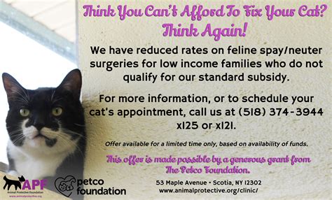 Pounds and shelters in the u.s. For A Limited Time Only: Even Lower Cat Spay/Neuter Prices ...