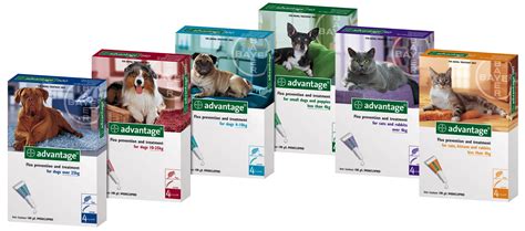 The formulation and dosage schedule of advantage multi for dogs are designed to provide a minimum of 4.5 mg/lb (10 mg/kg) imidacloprid remove one dose applicator tube from the package. CanadaPetCare Black Friday Deals 2018 : Early Bird Discount