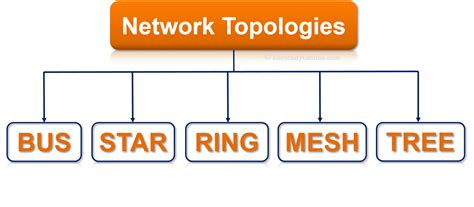 What Is Network Topology And Its Types The Study Genius