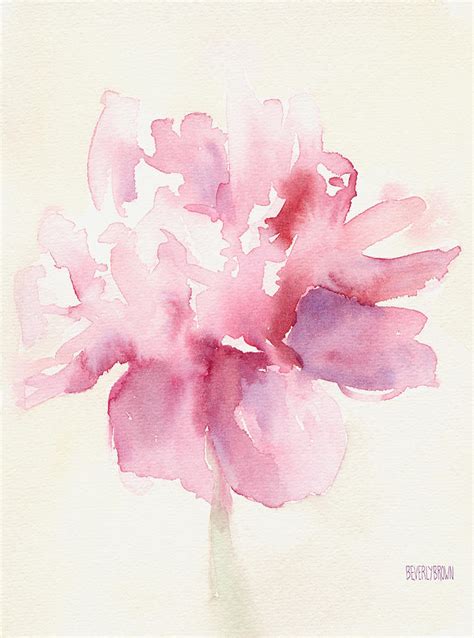Pink Peony Watercolor Paintings Of Flowers Painting By Beverly Brown
