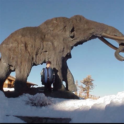 Mammoth Mammoth California Giant Woolly Mammoth Statue