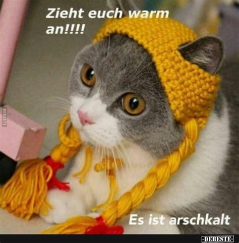 Deshalb gibt es hier neue lustige bilder kostenlos. Zieht euch warm an!! | Lustige Bilder, Sprüche, Witze ...