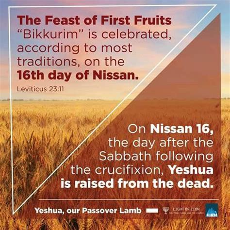 The Feast Of First Fruits Co Incided With The Resurrection Of Jesus And