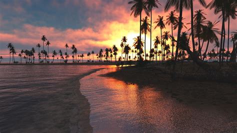 X Palm Trees Sunset Sea P Resolution Hd K Wallpapers Images Backgrounds Photos