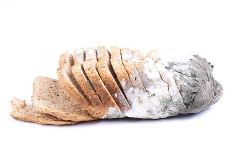 Mouldy Bread Stock Image Image Of Dinner Nutrition 58332851
