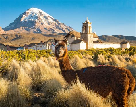 7 Reasons To Visit Bolivia Now The Best Things To Do In Bolivia