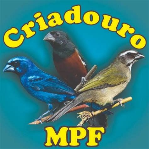 Jun 27, 2021 · o mateus vital faz um gol e vira o craque injustiçado. Marcos Freitas - YouTube