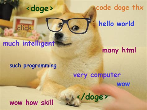 Web Developer Doge 💻 Doge Much Wow