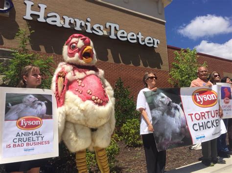 Maybe you would like to learn more about one of these? Giving a cluck: Animal activists hold demonstration at Harris Teeter to protest Tyson Foods ...