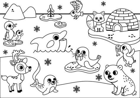 Printable Coloring Pages Arctic Animals