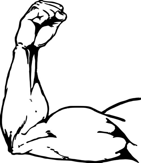 Onlinelabels Clip Art Muscle Arm