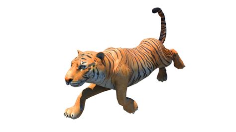 Wild Animals Pack Rigged And Animated 3d Model