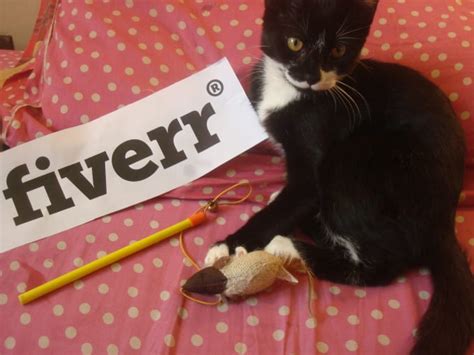 Carla duharte photography has uploaded 467 photos to flickr. Take 3 photos of my adorable kitten holding your sign by ...