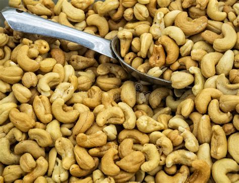 Salted Cashews Stock Photo Image Of Nuts Seed Group 40708366
