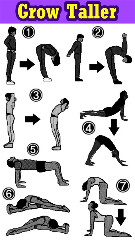 Yoga Asanas To Increase Height Comparison