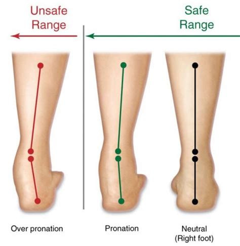 Supination And Pronation What It Means For The Foot And Arm Atelier