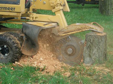 Professional Stump Grinding Services Arlington Washington Brads