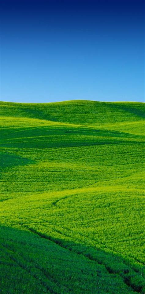 Download Green Field Wallpaper By P3tr1t 82 Free On Zedge™ Now