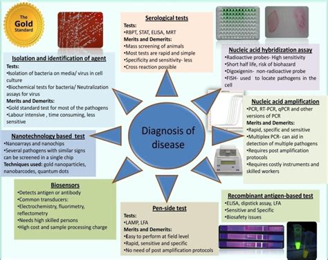 Diagnostic Techniques Used For Diagnosis Of Different Diseases Their