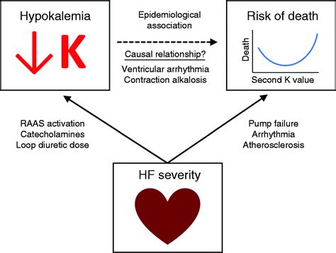Hypokalemia In Heart Failure A Low Or A High Point Jonathan W