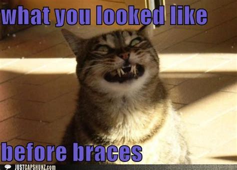 Funny Pictures Of Animals With Braces Funnniest Gallery