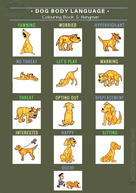 Impulse Related Aggression A Neurological And Behavioural