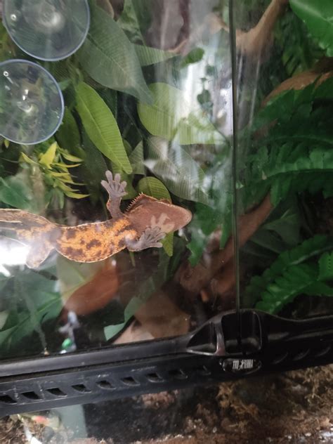 Fired up and gave himself a tan while forgetting to move his hand