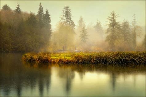 50 Magical Examples Of Misty Morning Photography