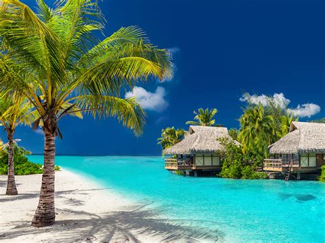 1 day ago · fiji first is the name of the country's ruling party. Find your Fantasy in Fiji | TravelAlerts