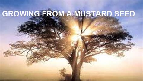 Growing From A Mustard Seed