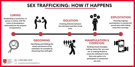 Myths Facts And Alternatives For Sex Trafficking Imagery The Canadian Centre To End Human