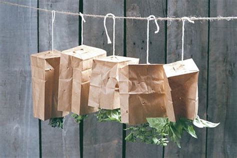 How To Dry Herbs Straight From Your Garden Drying Herbs Edible