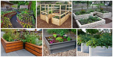 The challenge is to grow as much food as possible while resisting the temptation to. 19 Ways How To Build Raised Bed Garden