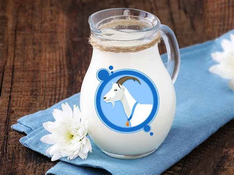 What's more, milk and particularly goats' milk which boasts additional health benefits are often overlooked when we think of superfoods. What Are The Health Benefits Of Goat Milk - lifealth
