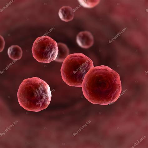 Microscopic View Of Human Cells — Stock Photo © Ingridat 27054119