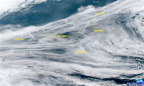 Spectacular Ship Tracks Visible In The Marine Layer Over The North