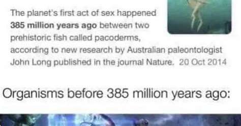Fun Valentines Day Fact Sex Was Invented 385 Million Years Ago Album On Imgur