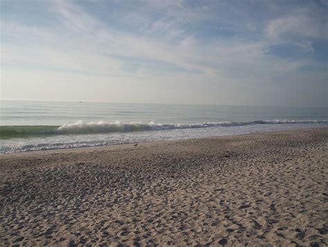Read hotel reviews and choose the best hotel deal for your stay. Sanibel Island-Morning shelling | Sanibel island, Island ...