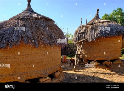 Thatched Mud Huts In A Remote Nigerian Village Stock Photo Alamy