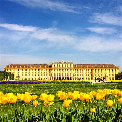 5 awesome things to do in vienna austria